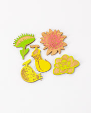 Carnivorous Plants Wooden Magnet Set
