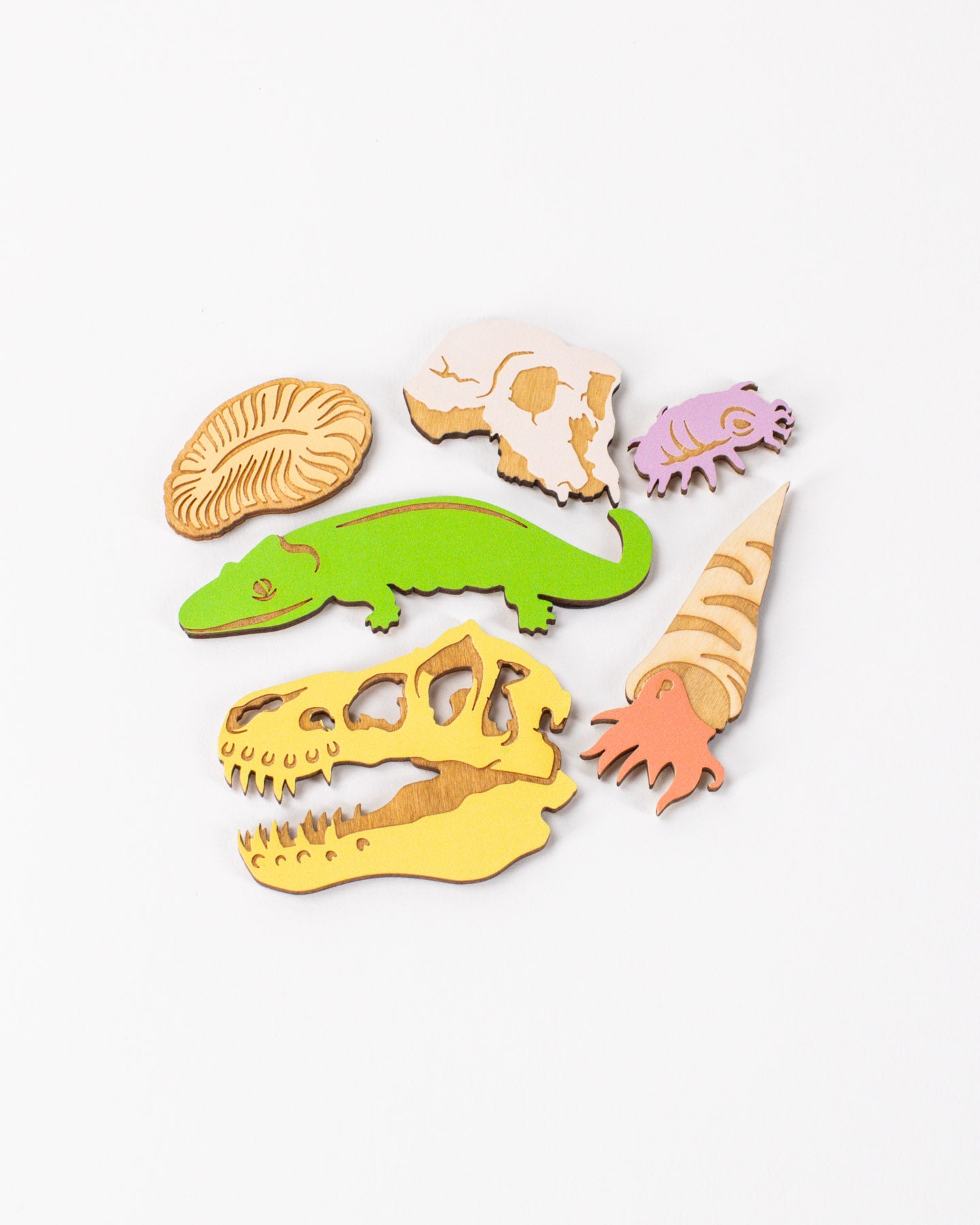 Core Sample Wooden Magnet Set