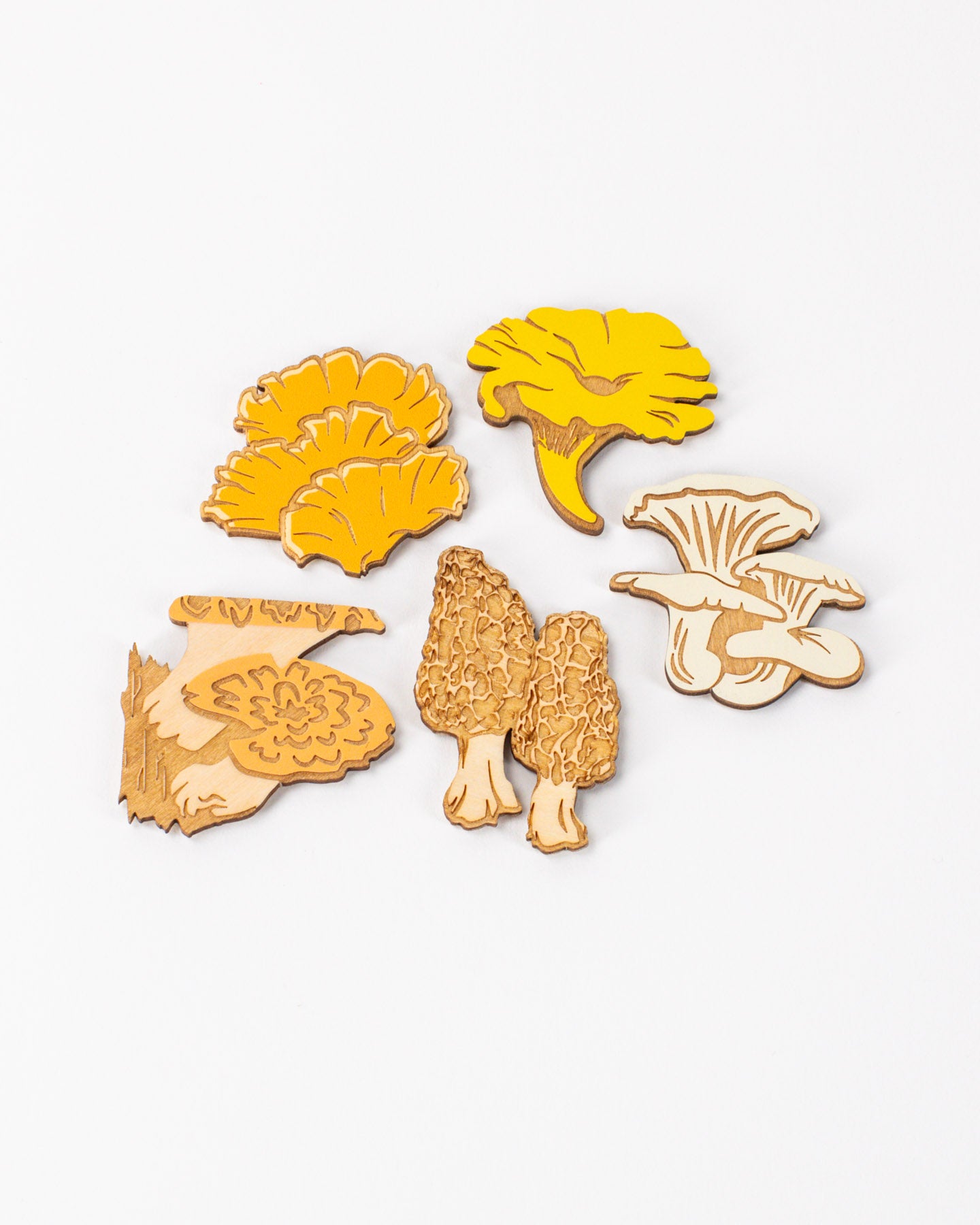 WmEdiFungi_1-Edit.jpg