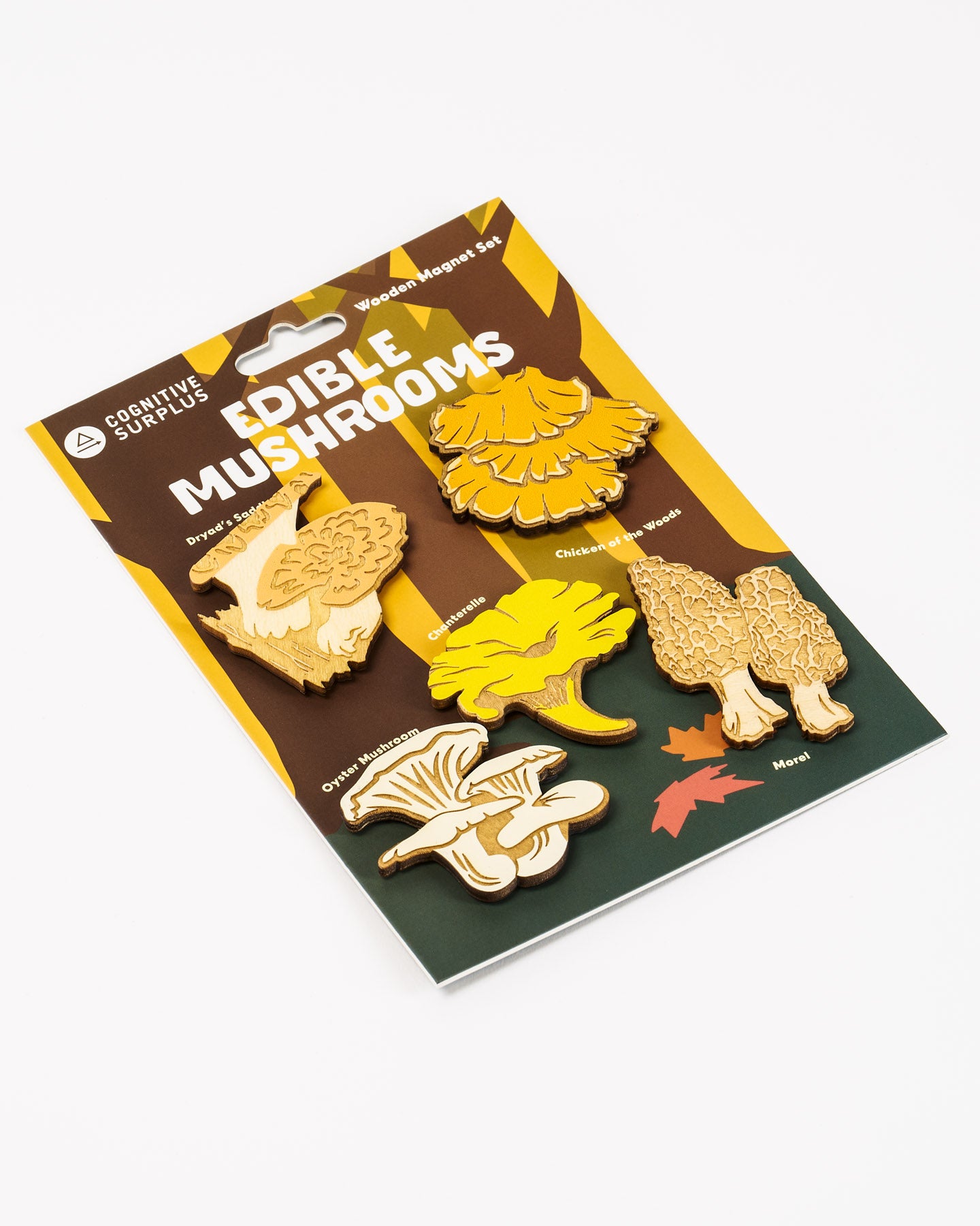 Edible Mushrooms Wooden Magnet Set