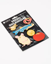 Model Organisms Wooden Magnet Set