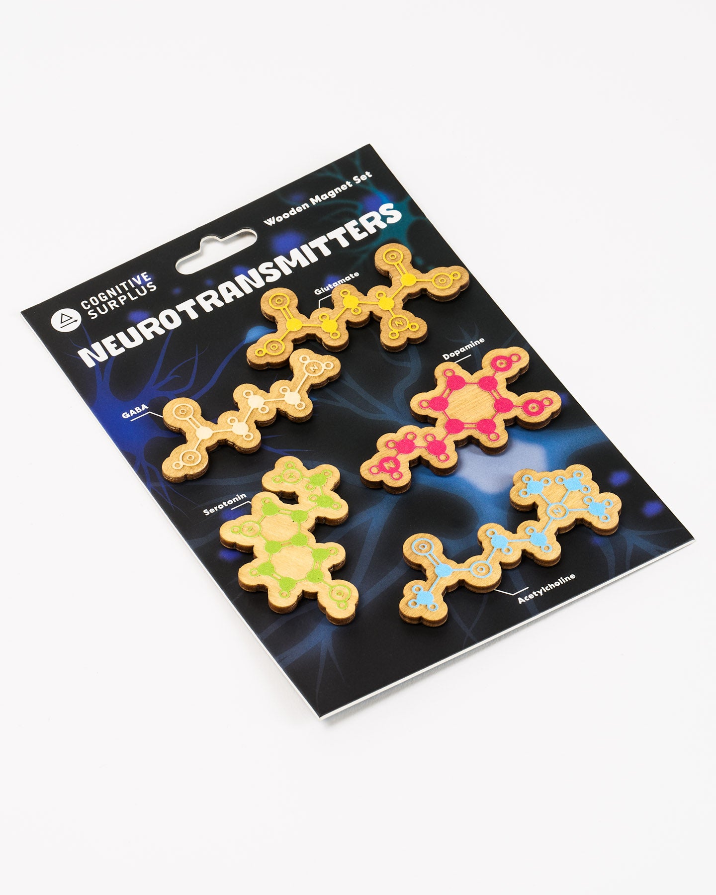 Neurotransmitters Wooden Magnet Set