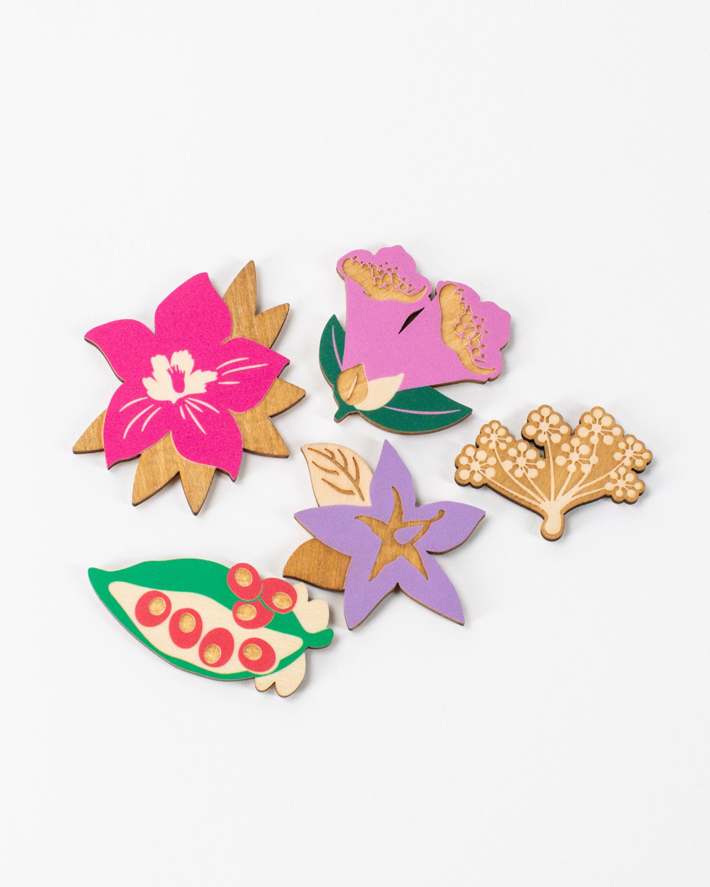Poisonous Plants Wooden Magnet Set