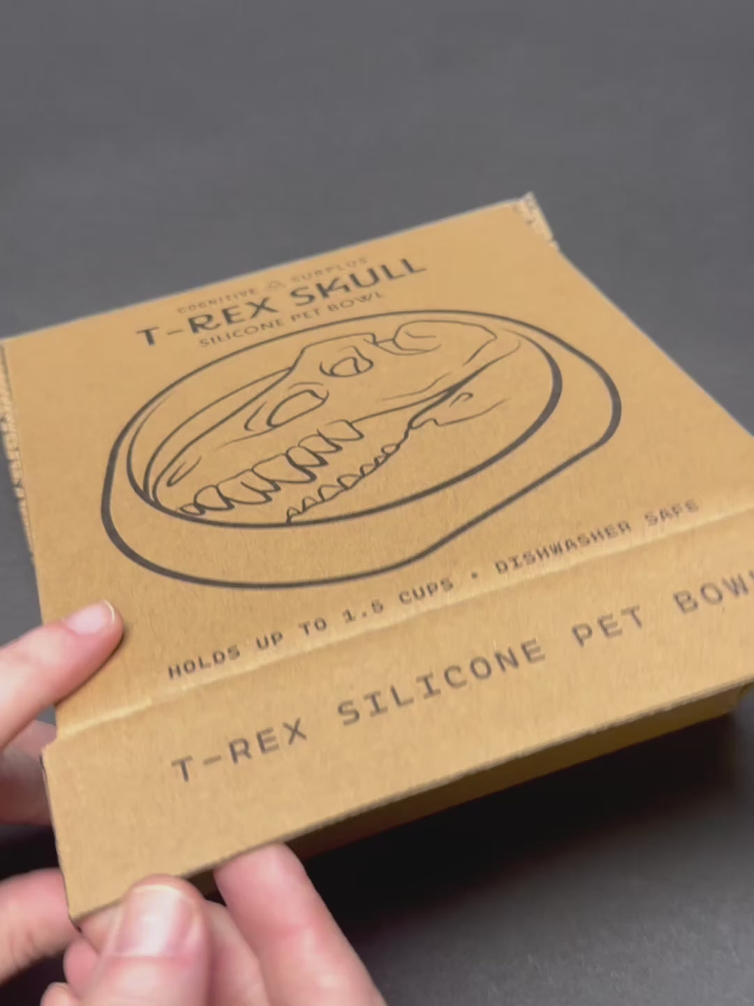 Dinosaur Dog Bowl