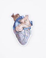 Anatomical Heart Sticker Cognitive Surplus