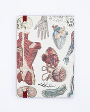Anatomy & Physiology A5 Softcover Cognitive Surplus