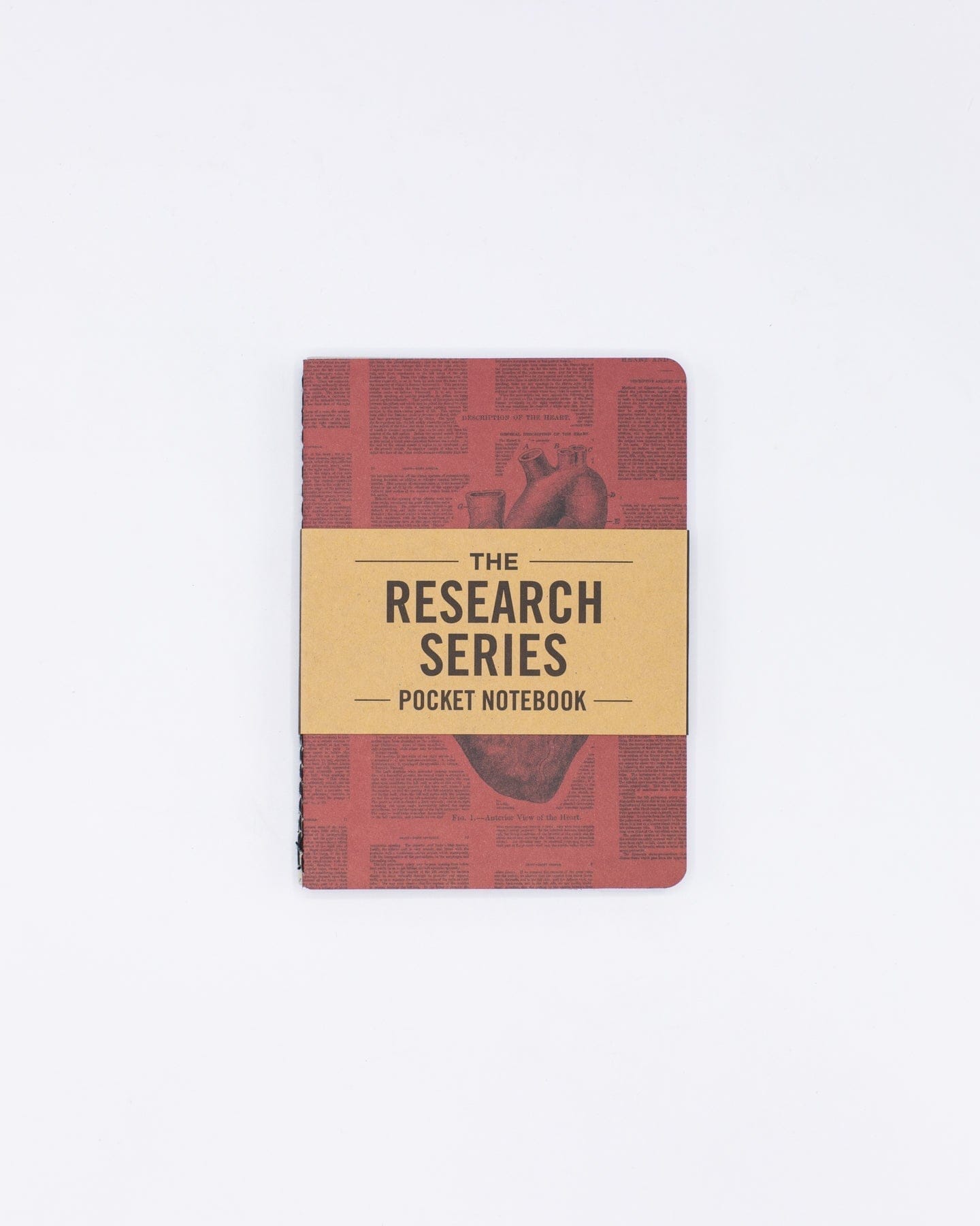 Anatomy Pocket Notebook 4-pack Cognitive Surplus