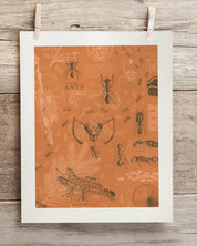 Ants Museum Print Cognitive Surplus