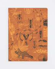 Ants Softcover - Lined Cognitive Surplus