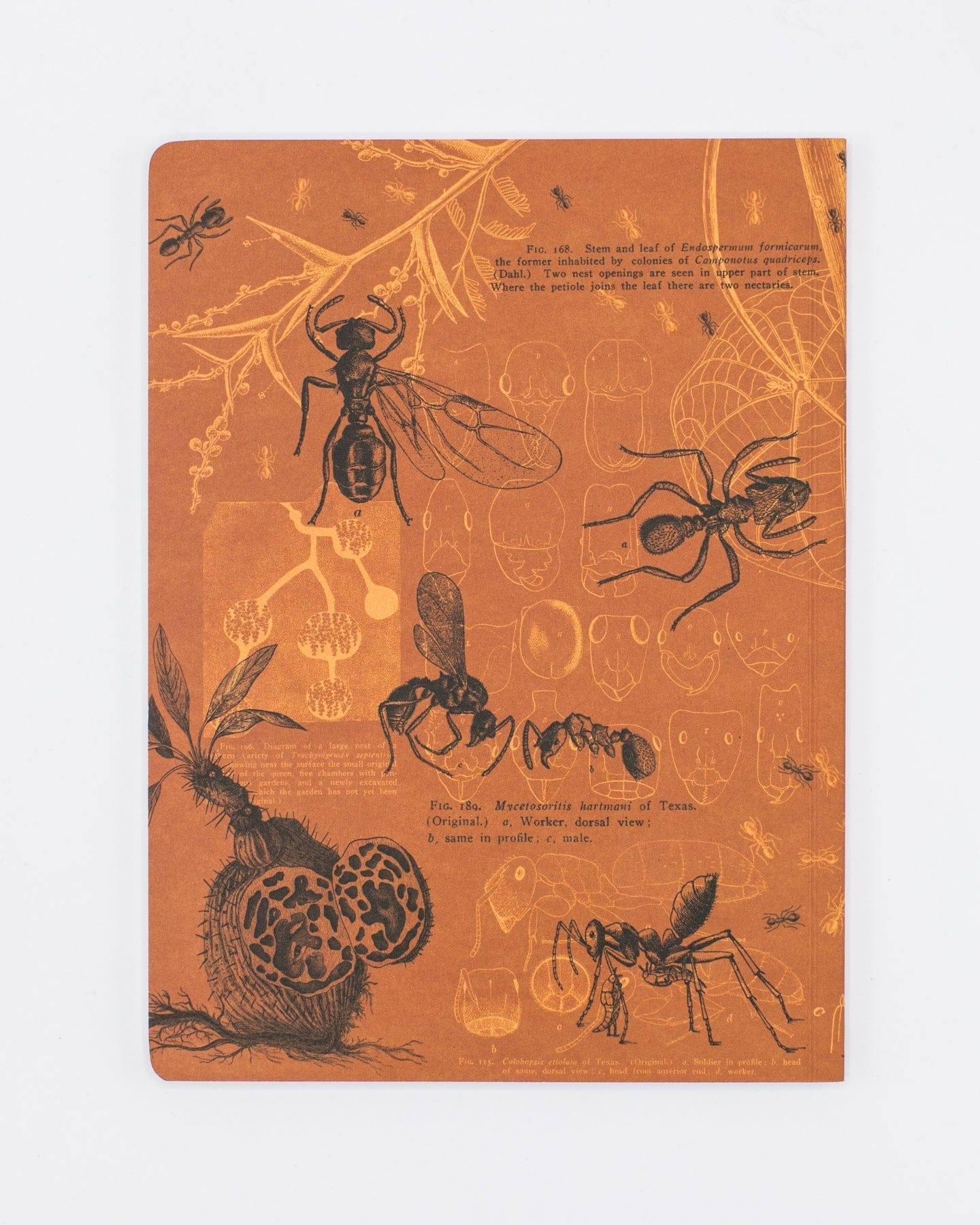 Ants Softcover - Lined Cognitive Surplus
