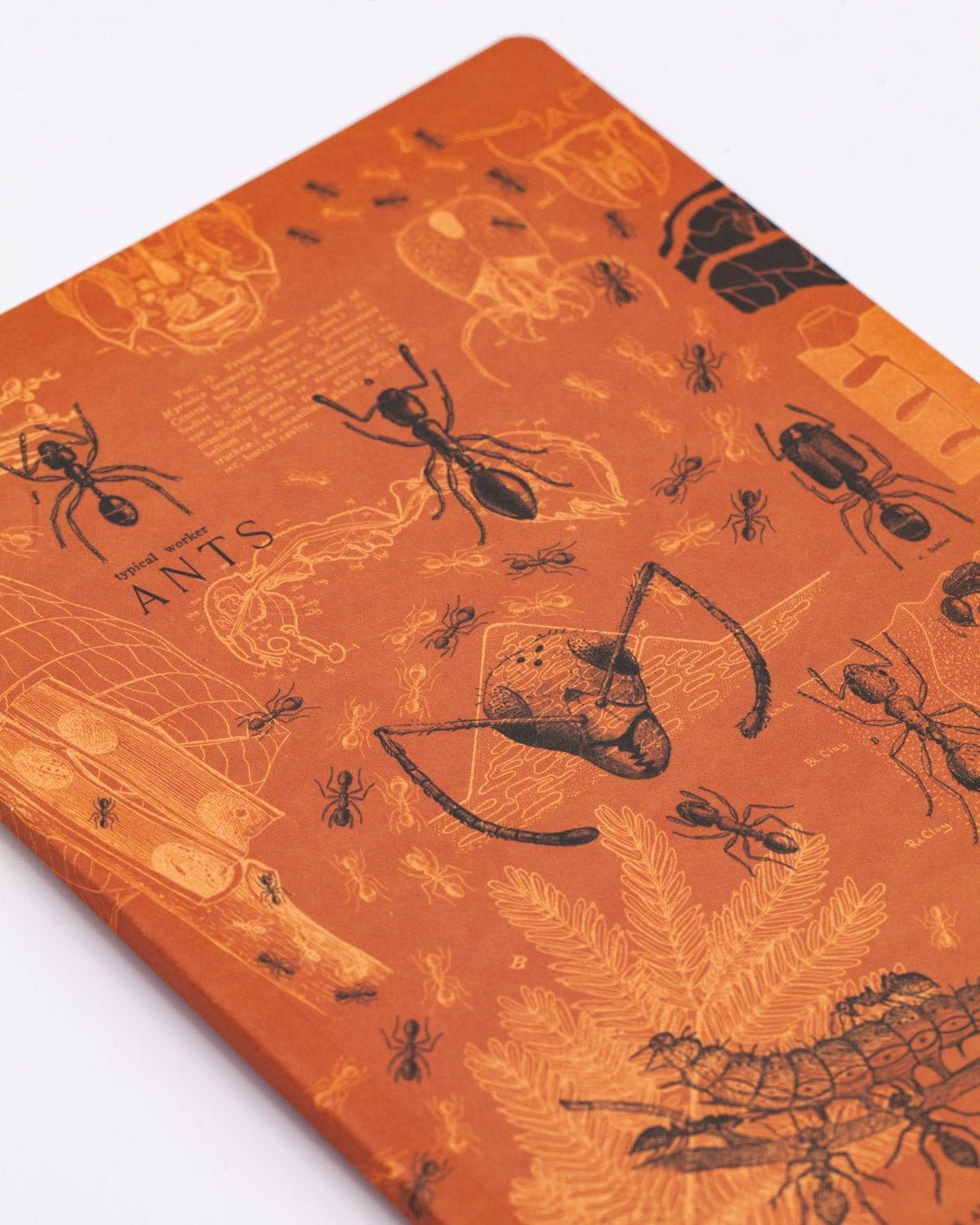 Ants Softcover - Lined Cognitive Surplus