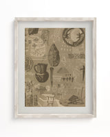 Archaeology Scientific Illustration Museum Print