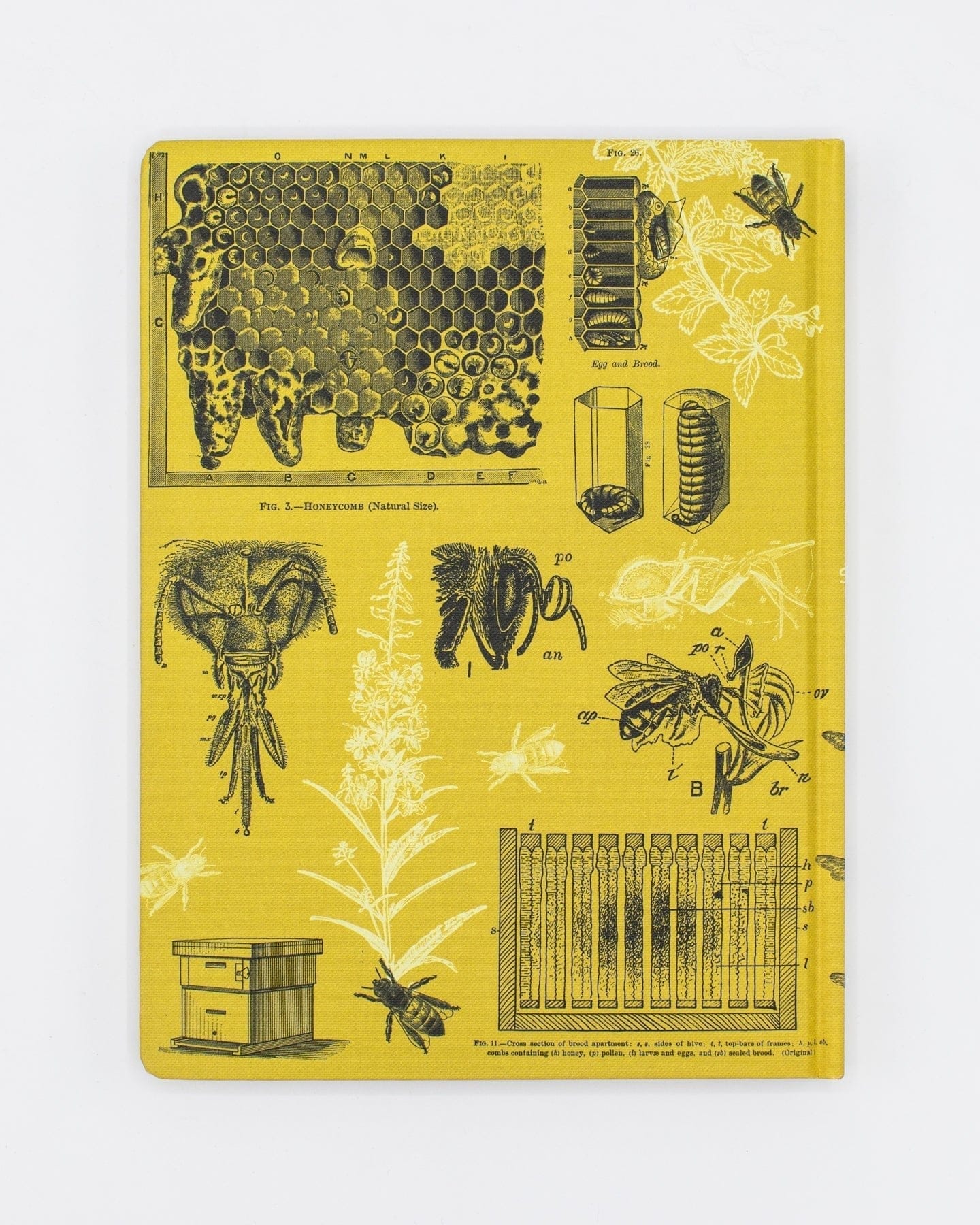 Bees Hardcover - Dot Grid Cognitive Surplus