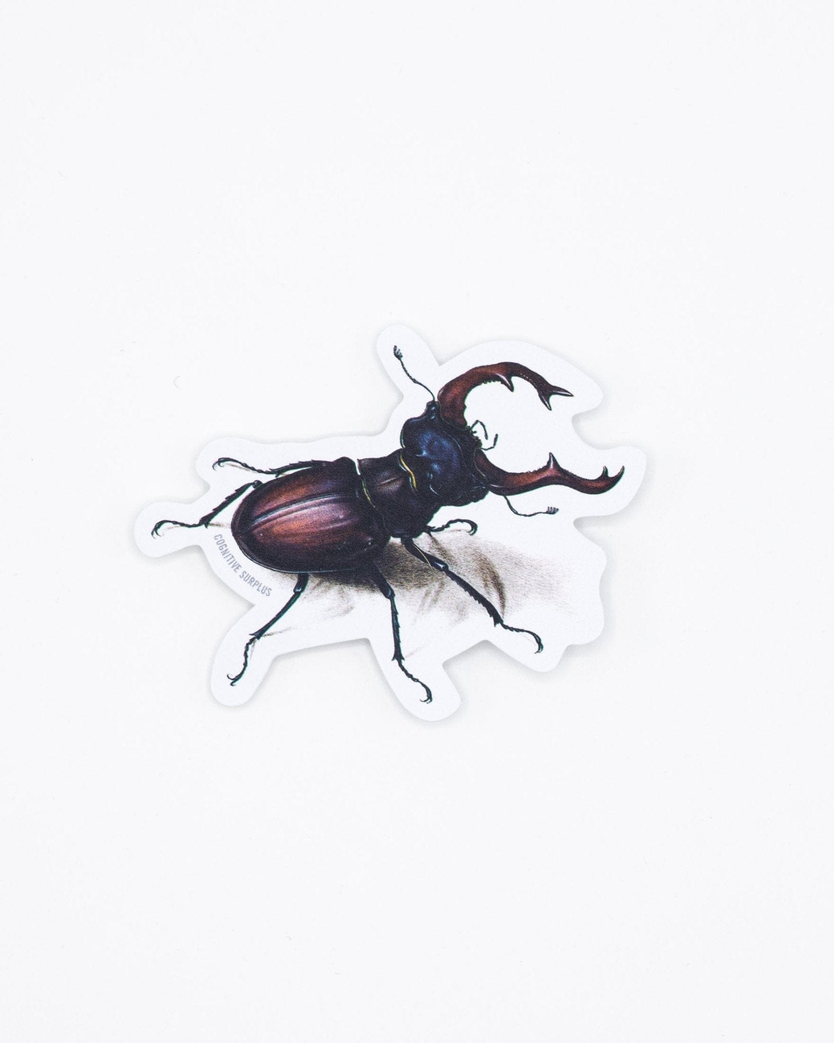 Beetle Sticker Cognitive Surplus