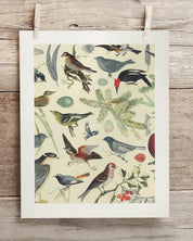 Birds Museum Print Cognitive Surplus