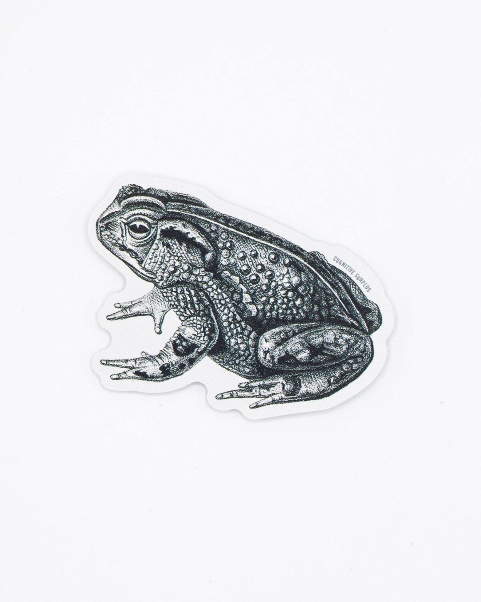 Bocourt's Toad Sticker Cognitive Surplus