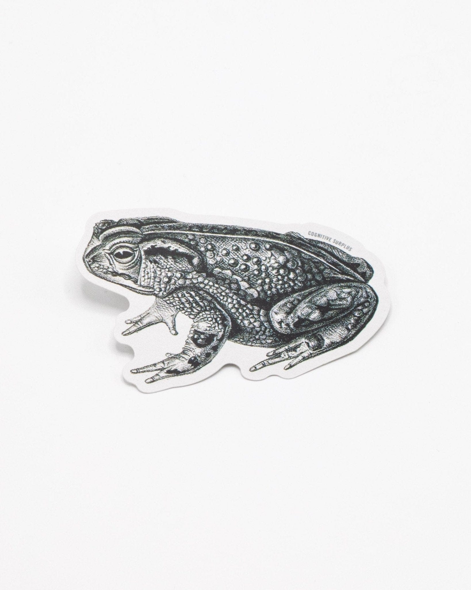 Bocourt's Toad Sticker Cognitive Surplus