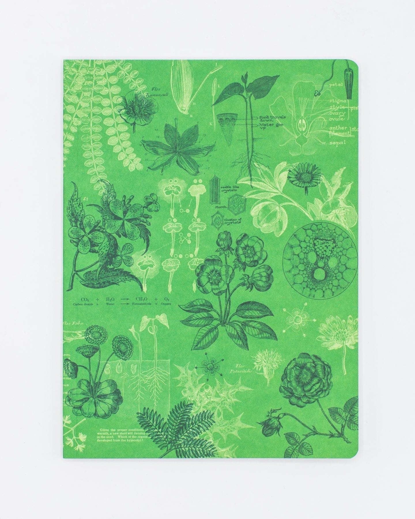 Botany Softcover - Dot Grid Cognitive Surplus