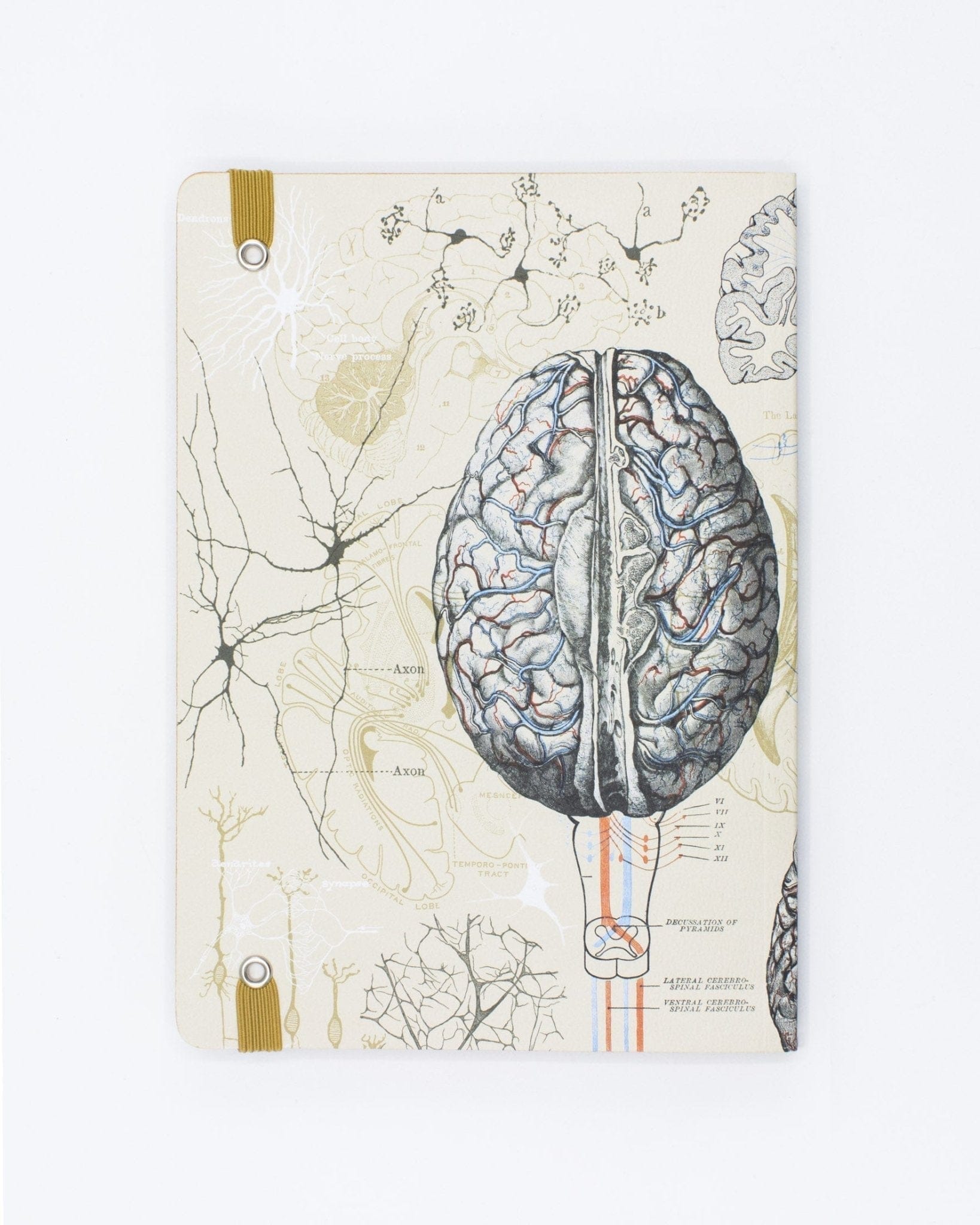 Brain A5 Softcover Cognitive Surplus