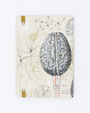 Brain A5 Softcover Cognitive Surplus