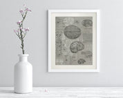 Brain Anatomy Museum Print Cognitive Surplus