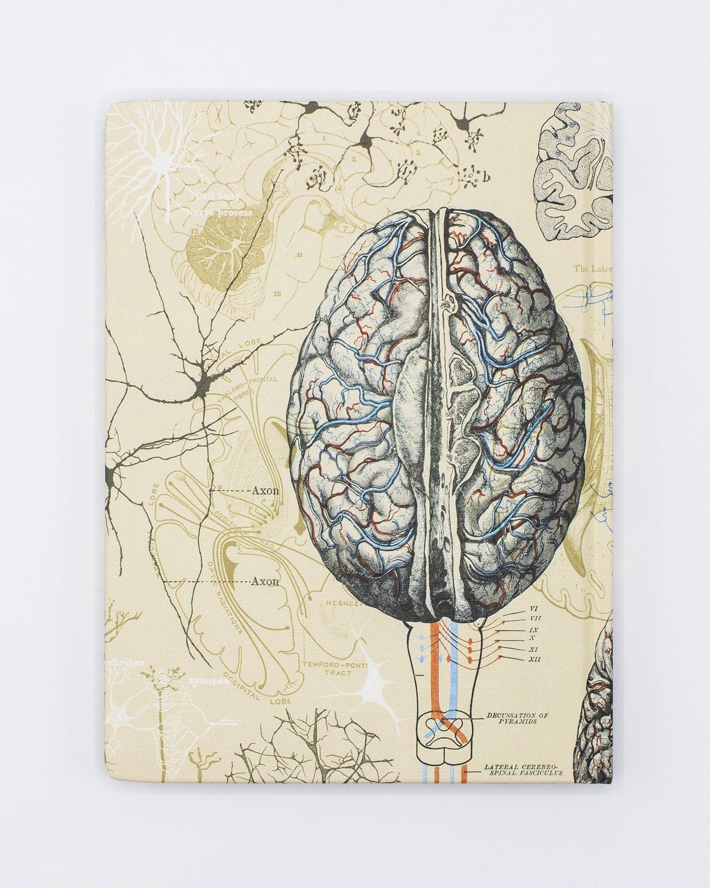Brain & Neuroscience Hardcover - Lined/Grid Cognitive Surplus