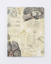 Brain & Neuroscience Hardcover - Lined/Grid Cognitive Surplus