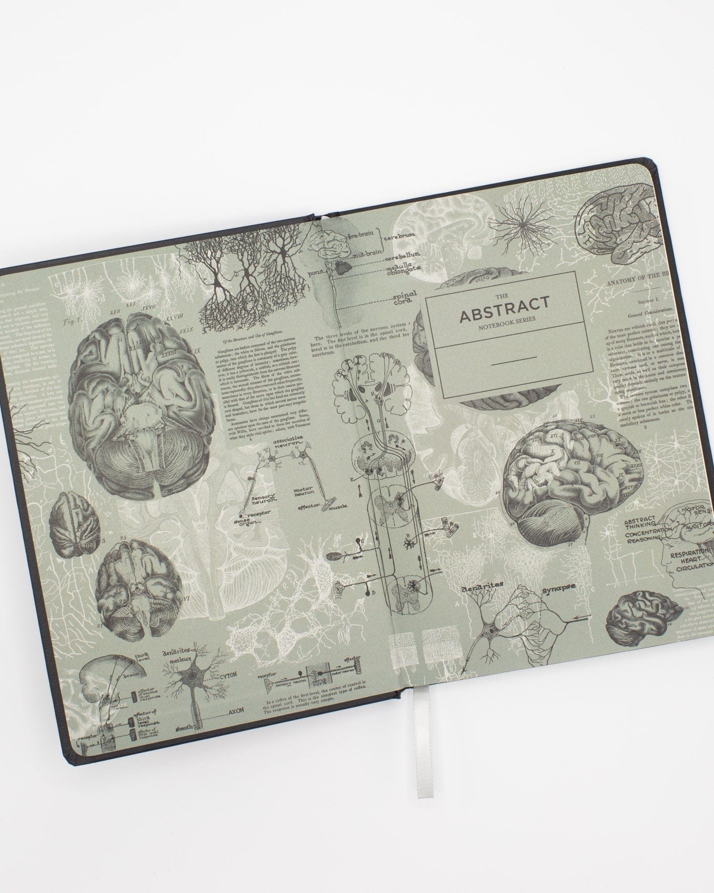 Brain Science A5 Hardcover - Graphite Cognitive Surplus