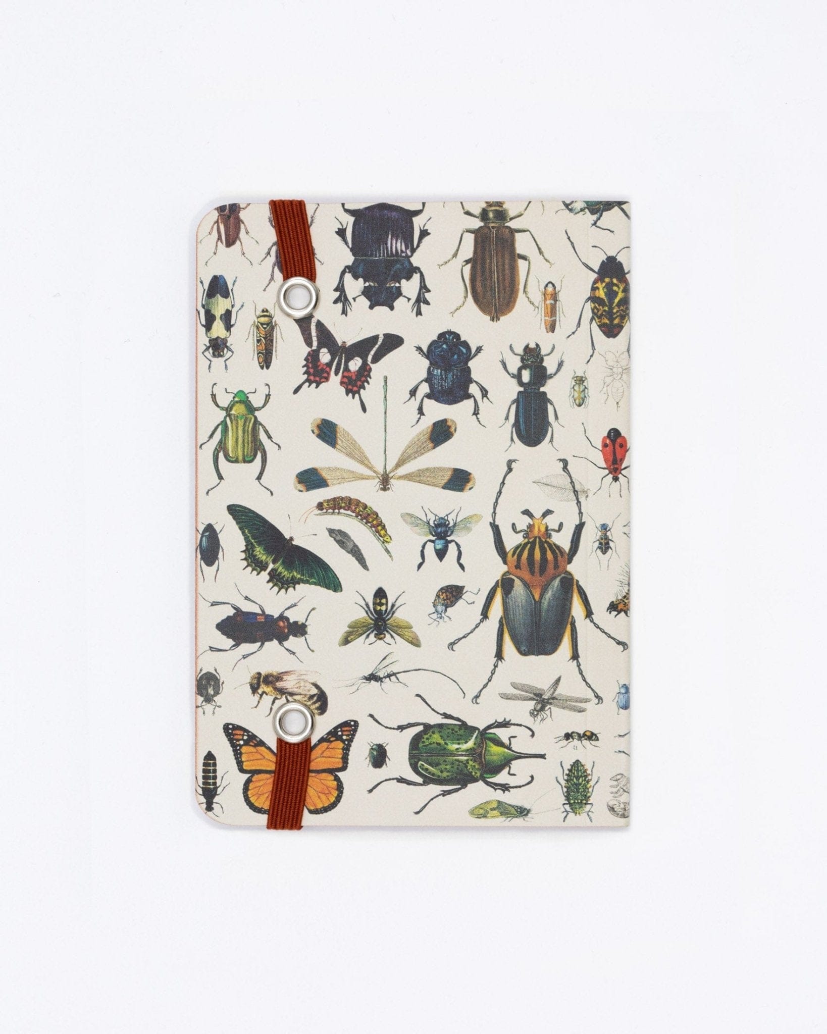 Butterflies & Beetles Observation Softcover Cognitive Surplus