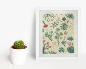 Cactus Museum Print Cognitive Surplus