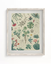 Cactus Museum Print Cognitive Surplus