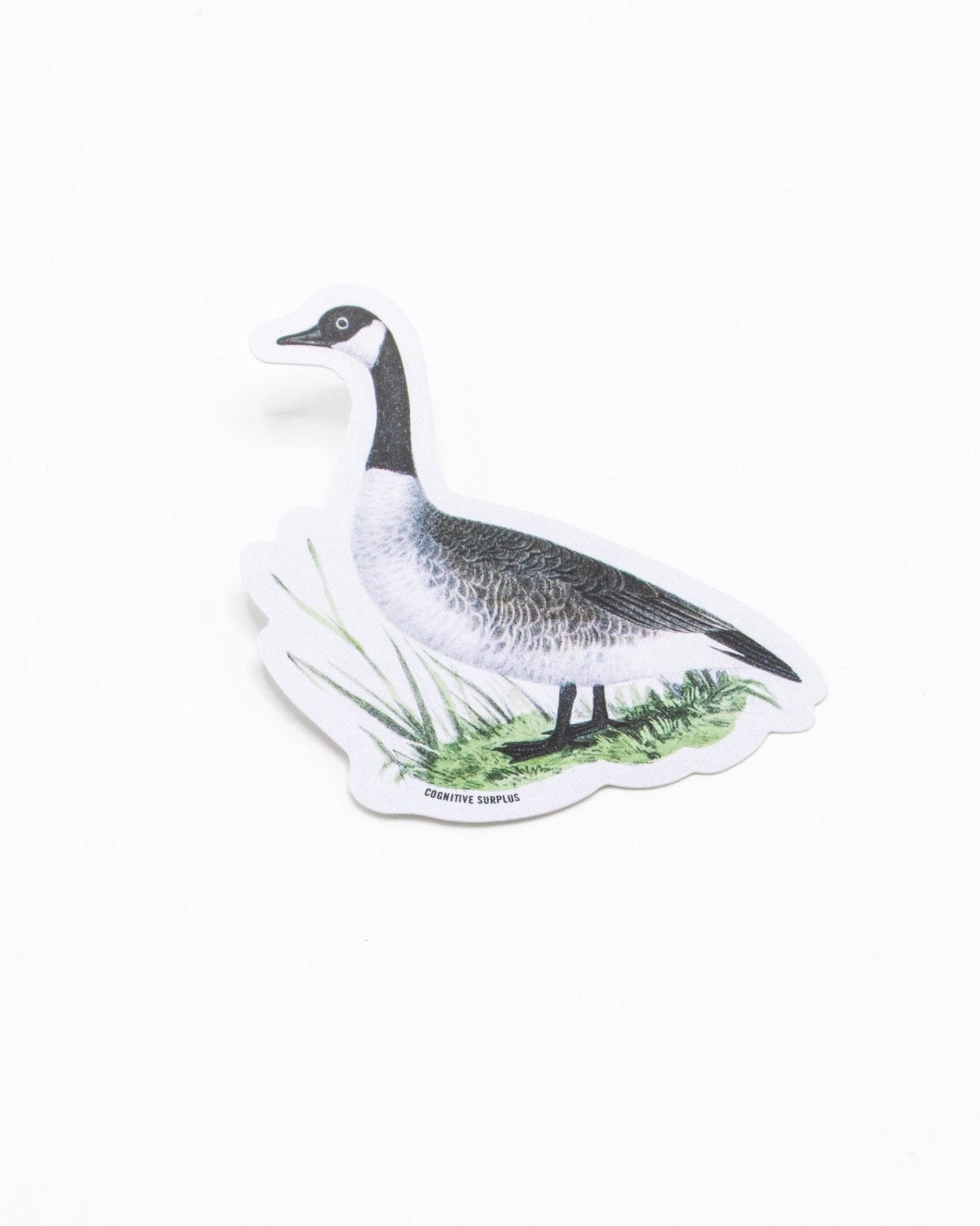 Canada Goose Sticker Cognitive Surplus