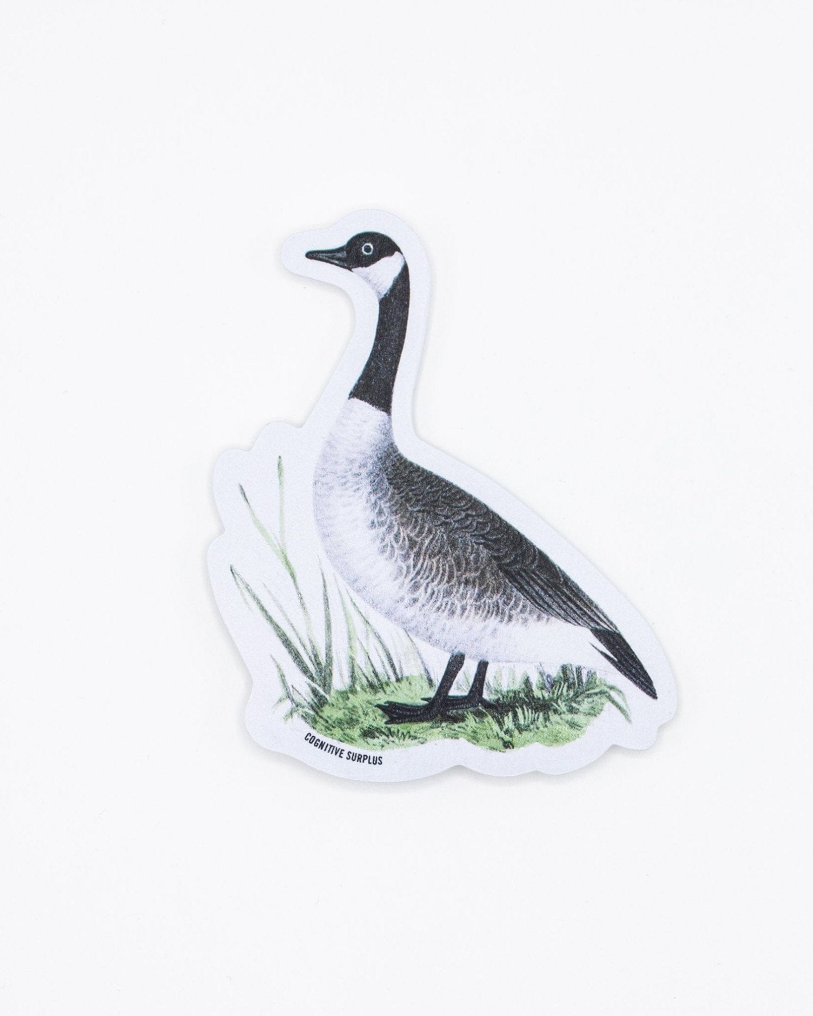 Canada Goose Sticker Cognitive Surplus