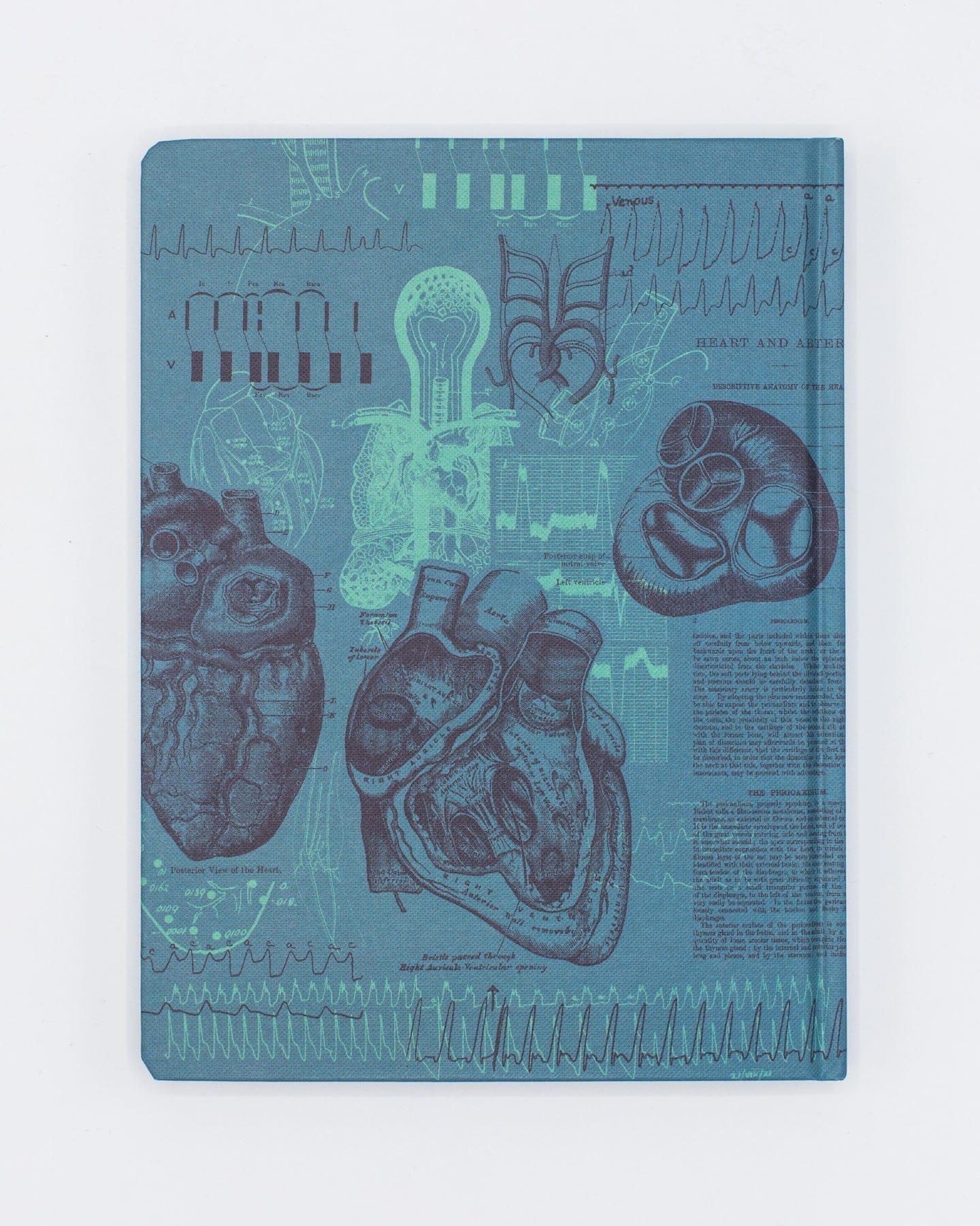 Cardiology Hardcover - Lined/Grid Cognitive Surplus