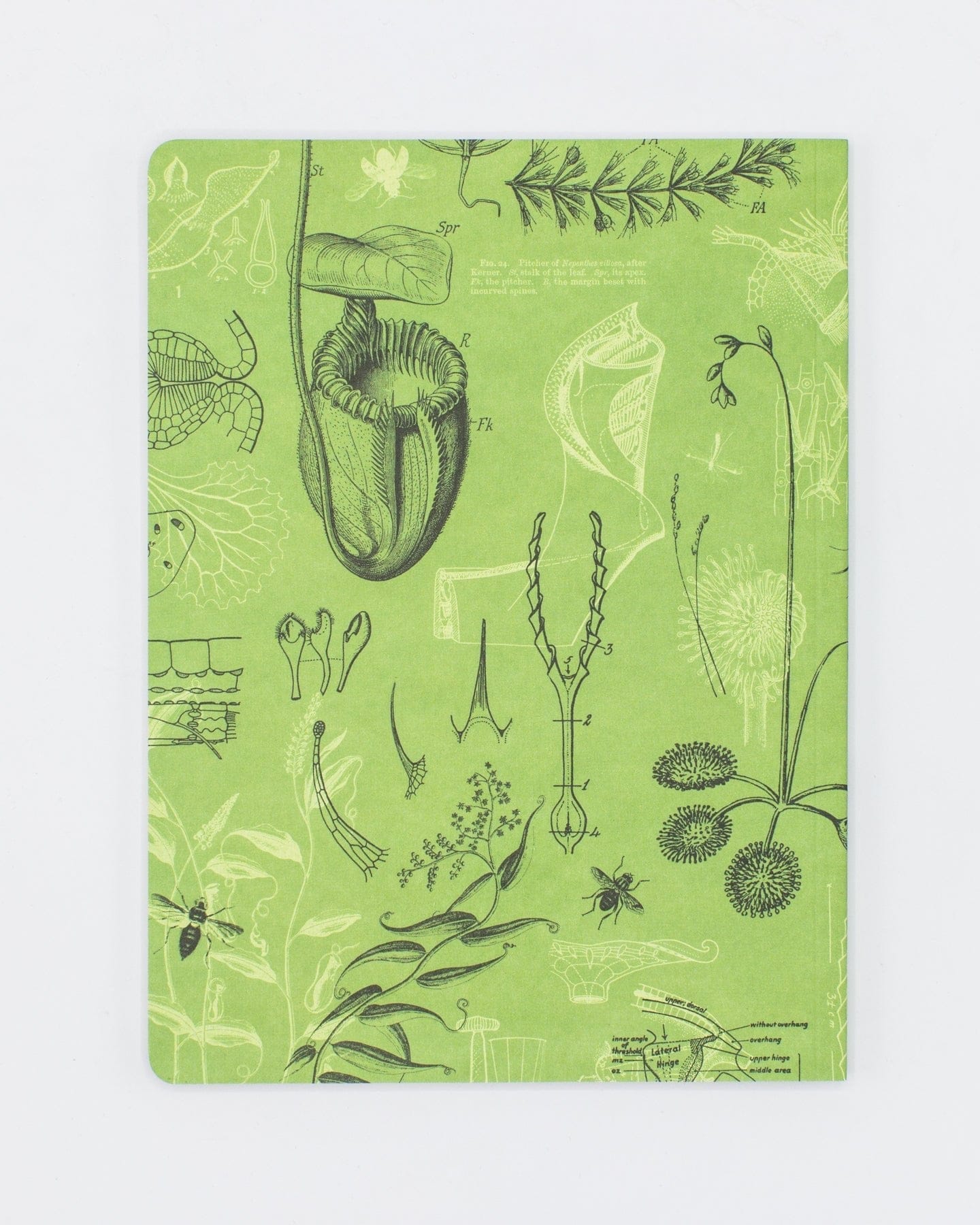 Carnivorous Plants Softcover - Dot Grid Cognitive Surplus