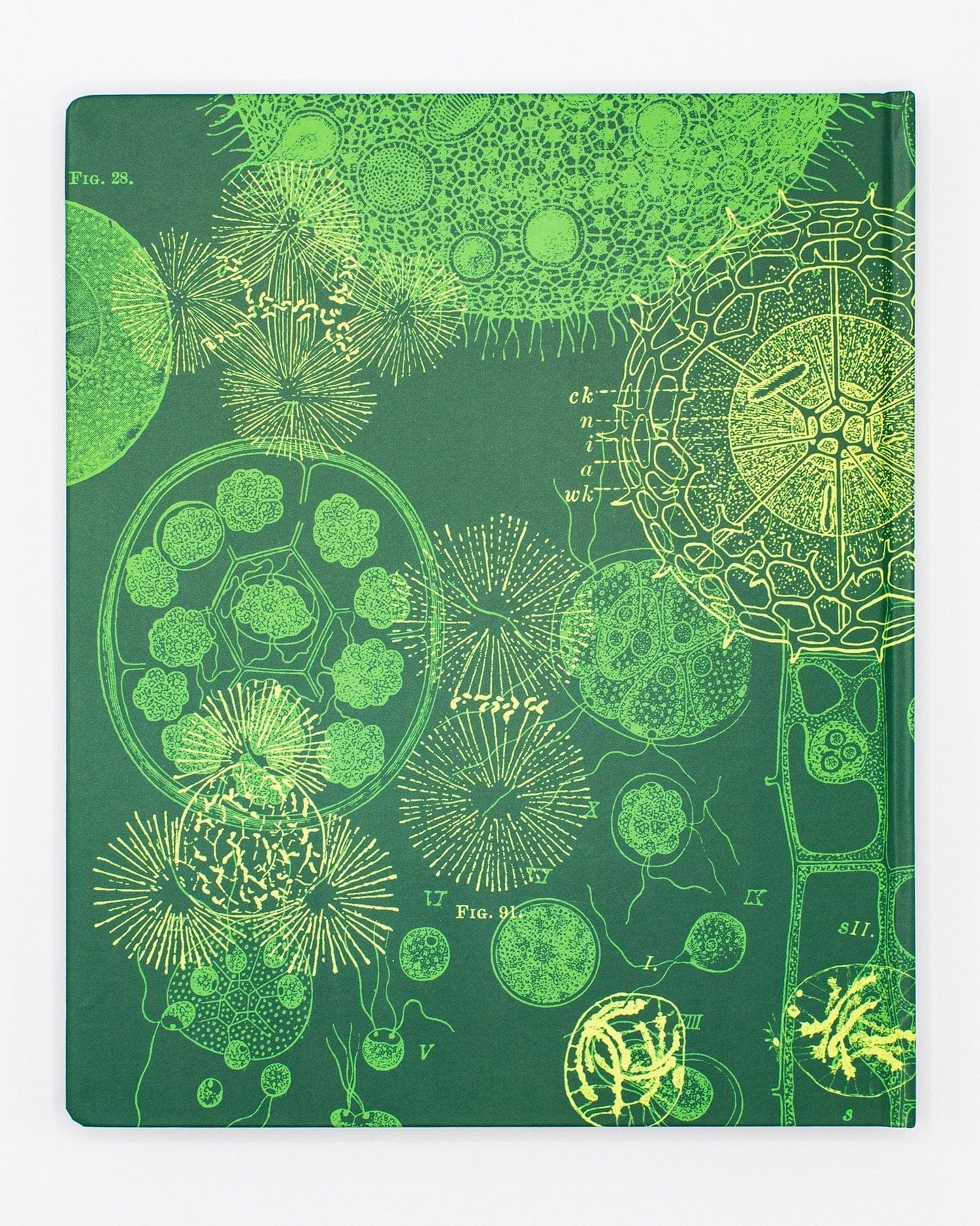 Cell Biology Lab Notebook Cognitive Surplus