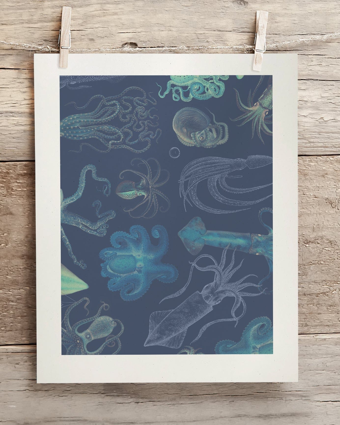 Cephalopods Museum Print Cognitive Surplus