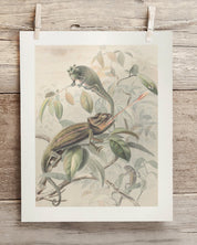 Chameleon Museum Print Cognitive Surplus