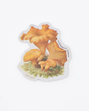 Chanterelle Mushroom Sticker Cognitive Surplus