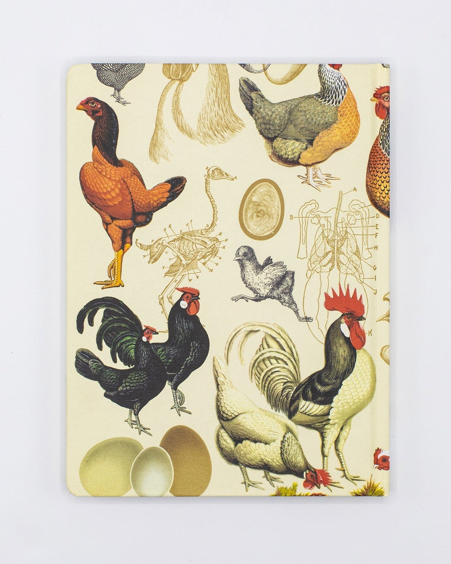 Chicken Hardcover - Dot Grid Cognitive Surplus