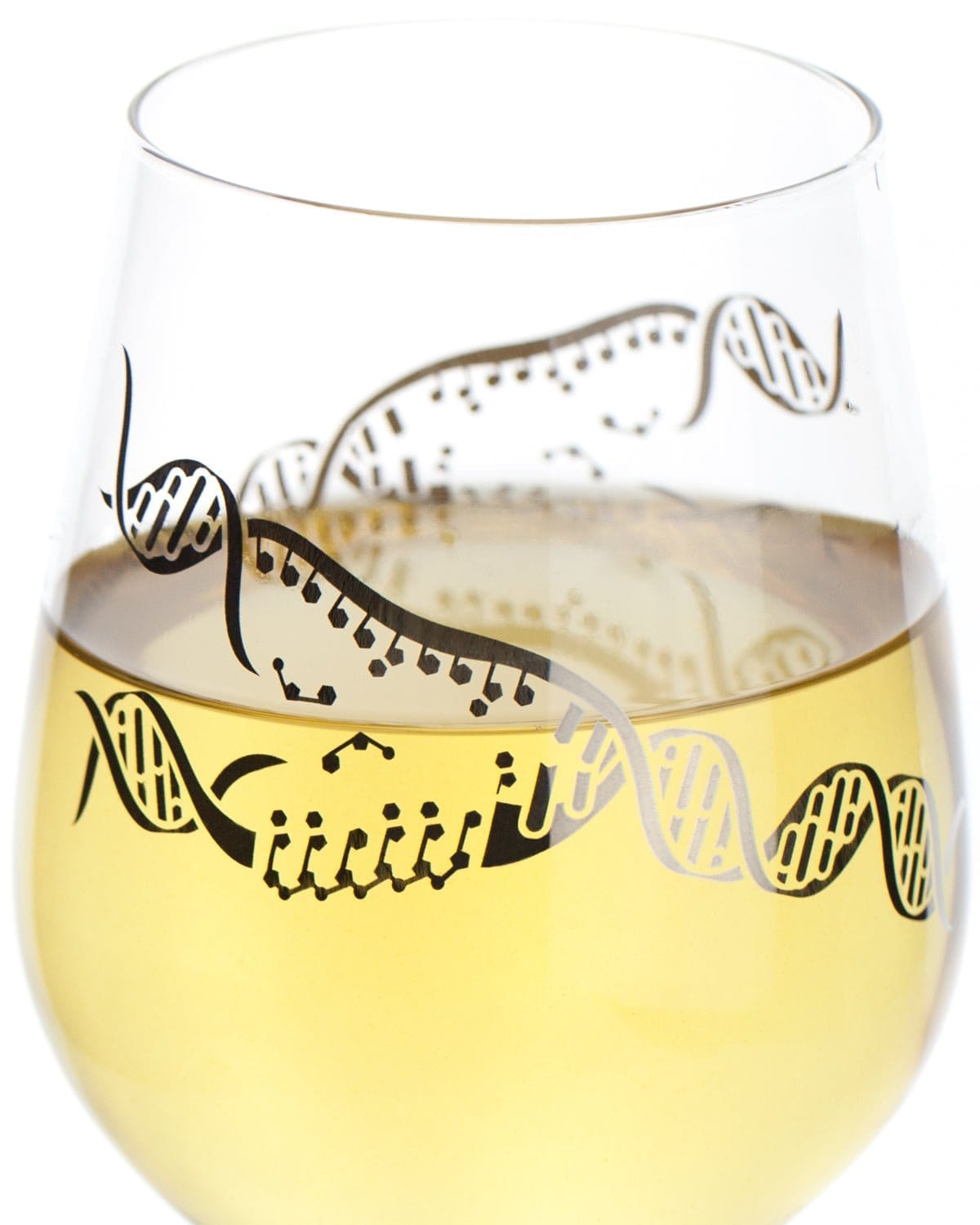 DNA Replication STEMware Cognitive Surplus
