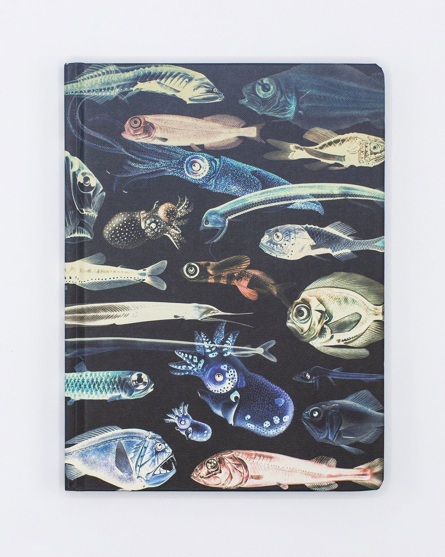 Deep Sea Hardcover - Lined/Grid Cognitive Surplus