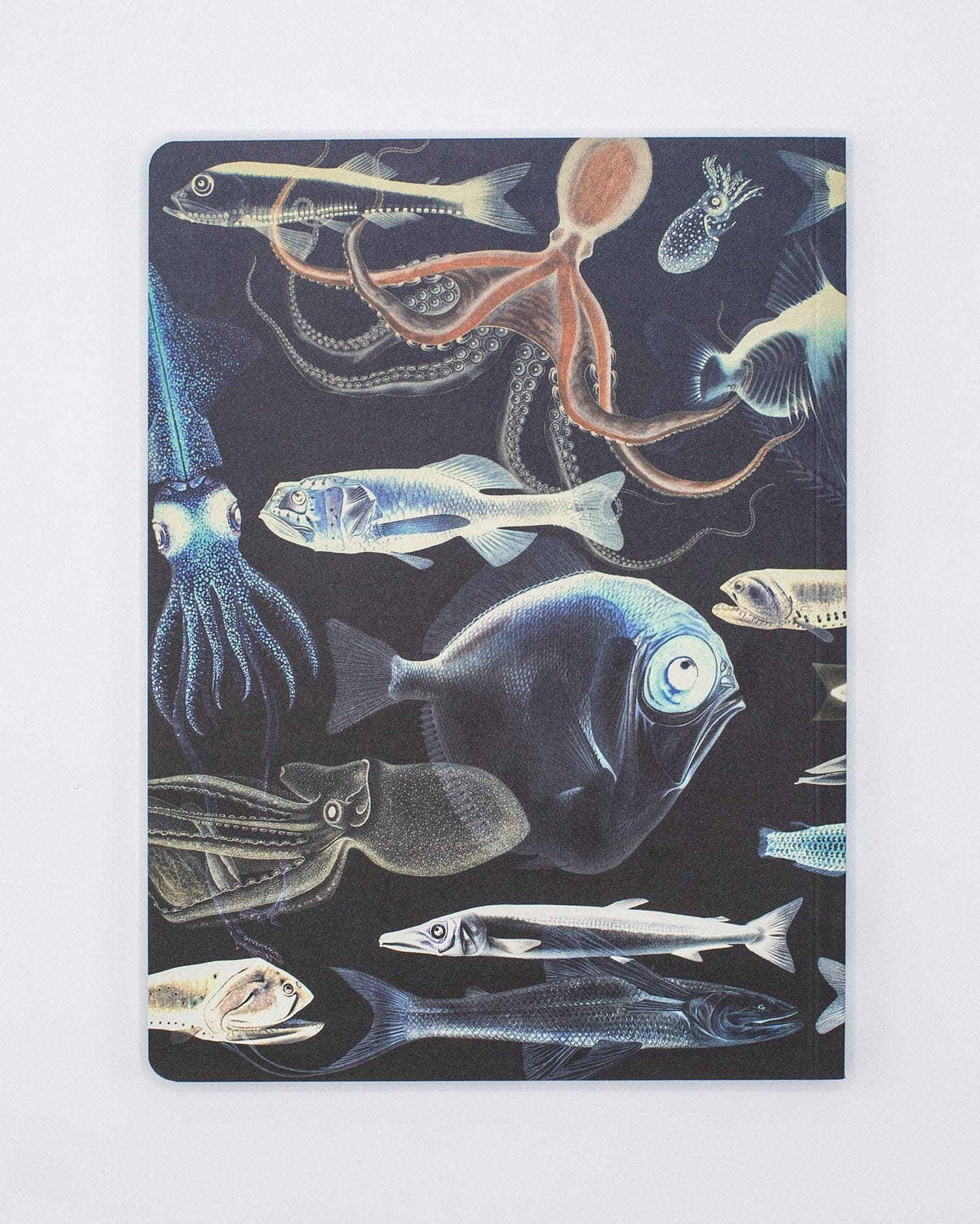 Deep Sea Softcover - Dot Grid Cognitive Surplus
