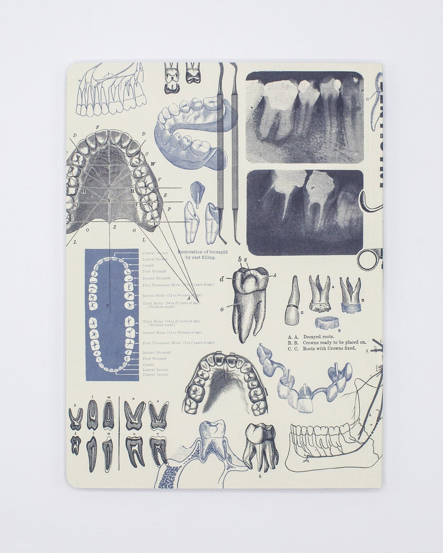 Dentistry Softcover - Dot Grid Cognitive Surplus