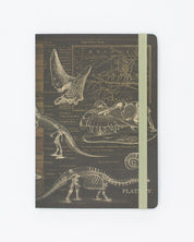 Dinosaur Bones A5 Softcover Cognitive Surplus