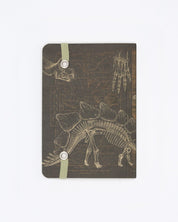 Dinosaur Bones Observation Softcover Cognitive Surplus