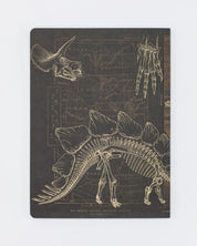 Dinosaur Softcover - Dot Grid Cognitive Surplus