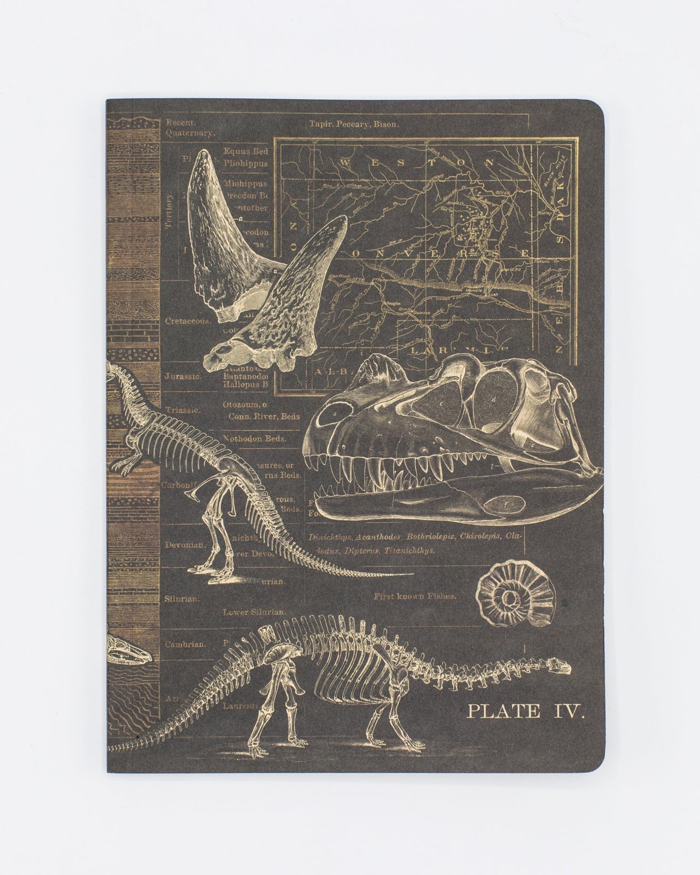 Dinosaur Softcover - Dot Grid Cognitive Surplus