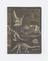 Dinosaur Softcover Notebook - Dot Grid