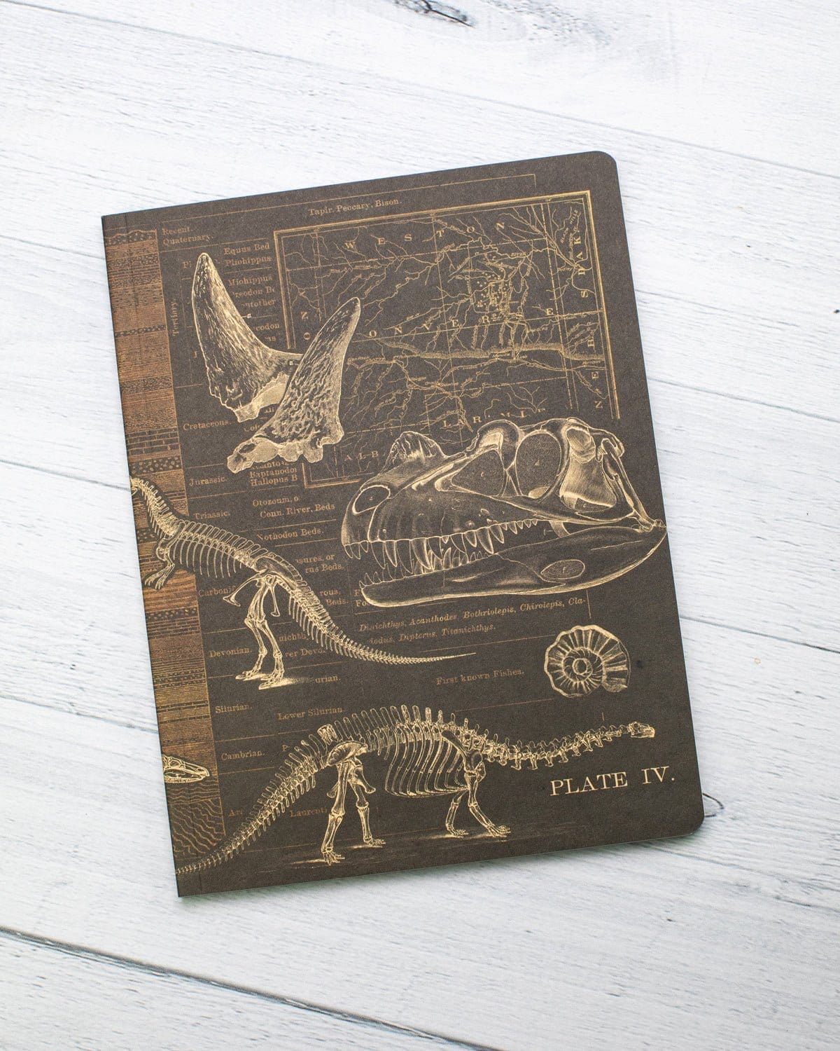 Dinosaur Softcover - Dot Grid Cognitive Surplus